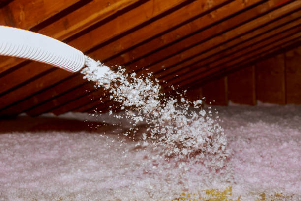 Best Residential Insulation in Montpelier, OH