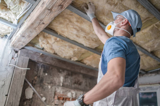 Best Insulation Maintenance and Repair in Montpelier, OH