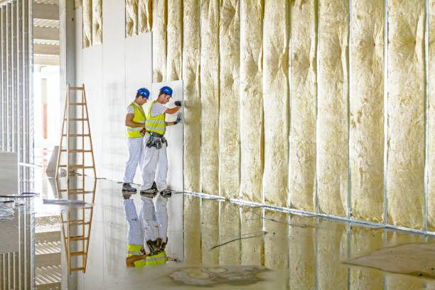 Best Commercial Insulation in Montpelier, OH